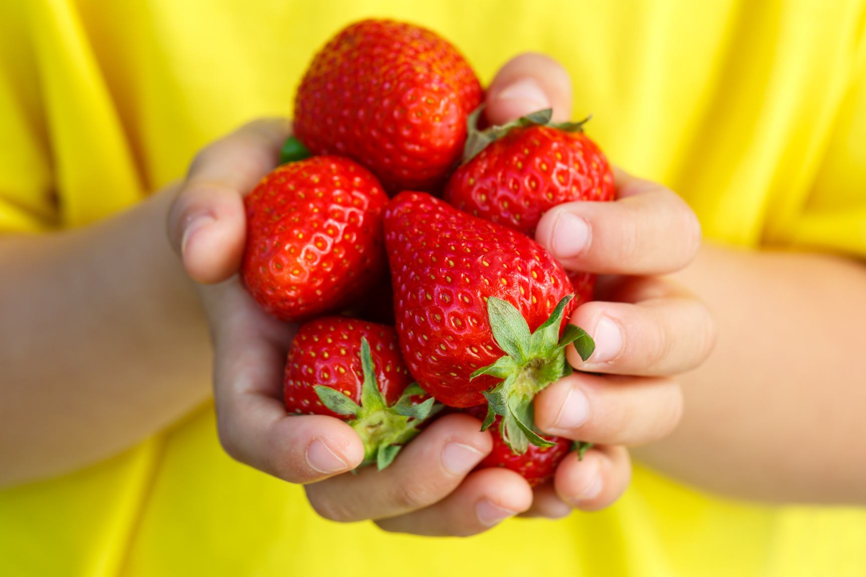 Strawberries Berry Fruits Strawberry Berries Fruit Summer Hands