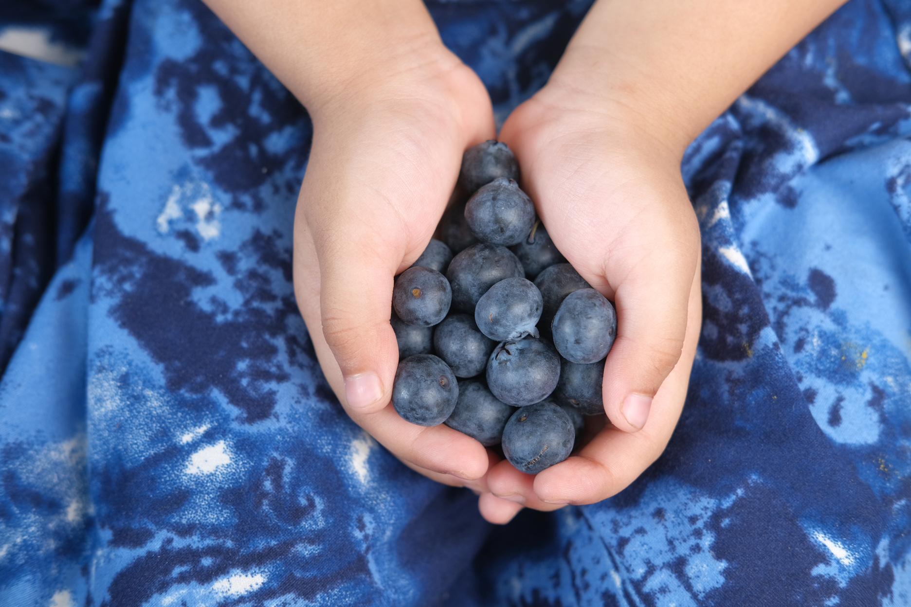 child hand holding fresh blue berry